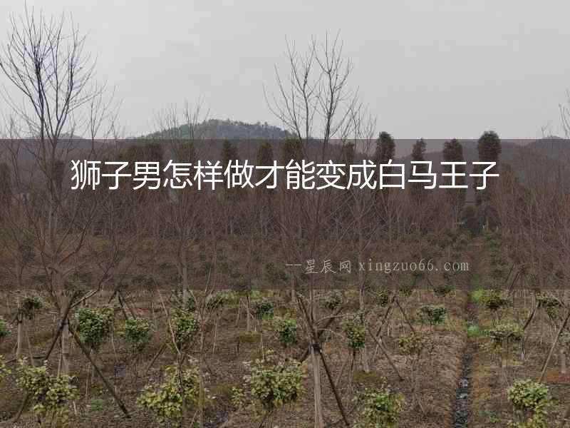 獅子男怎樣做才能變成白馬王子