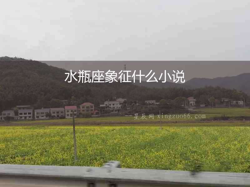 水瓶座象征什么小說