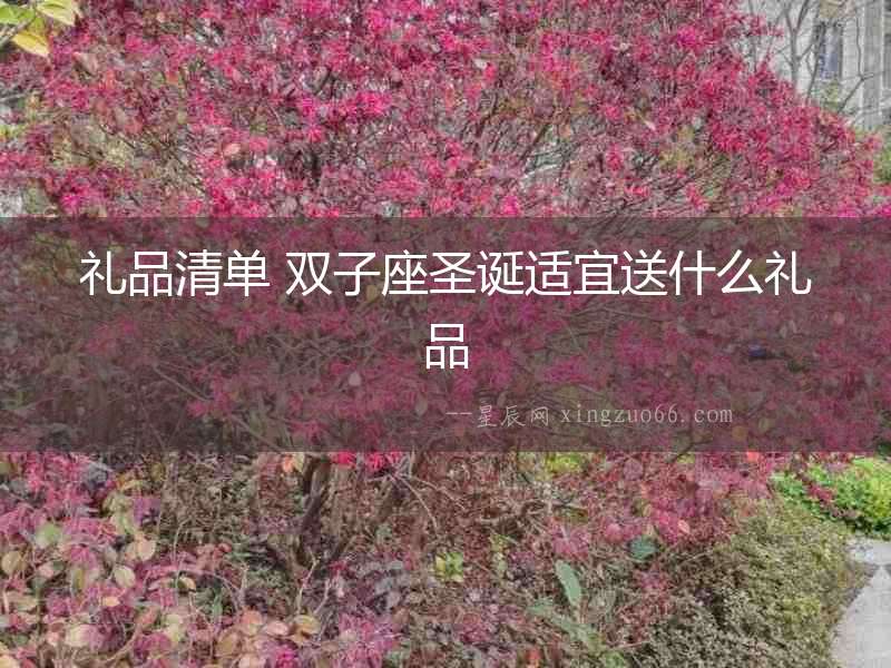 禮品清單 雙子座圣誕適宜送什么禮品