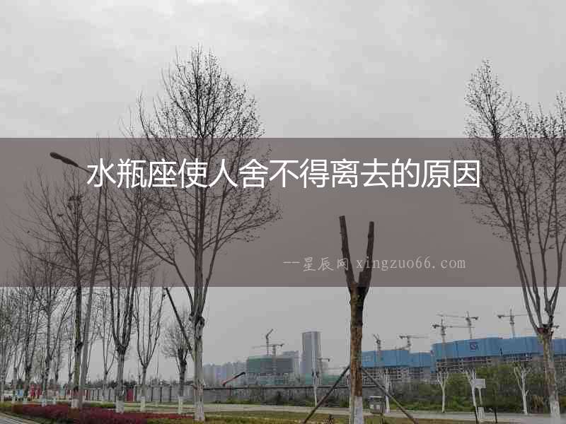 水瓶座使人舍不得離去的原因