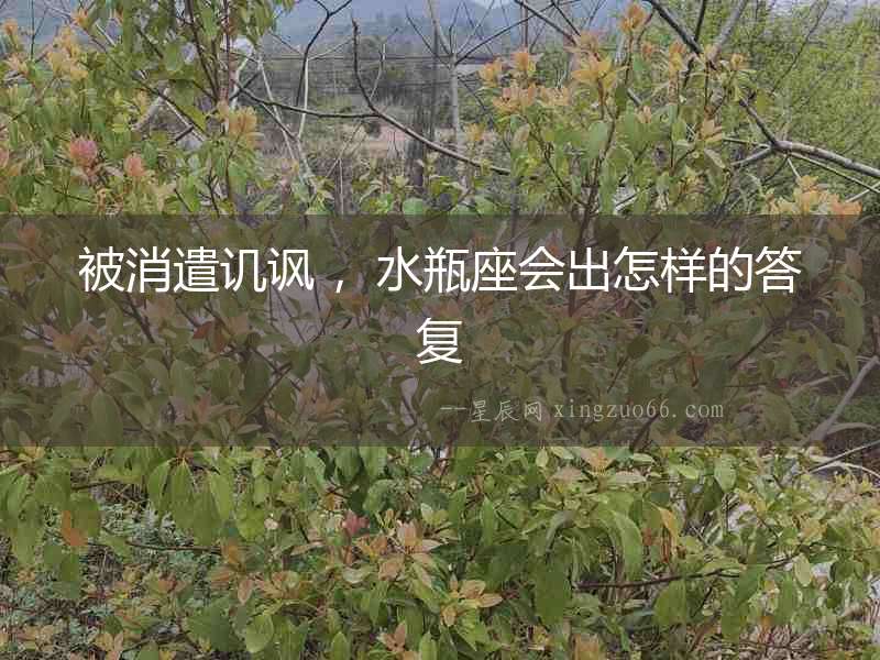 被消遣譏諷 ，水瓶座會出怎樣的答復