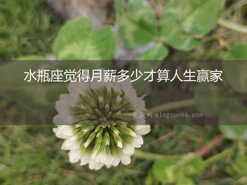 水瓶座覺得月薪多少才算人生贏家