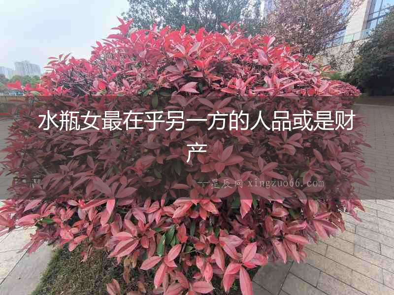 水瓶女最在乎另一方的人品或是財產(chǎn)