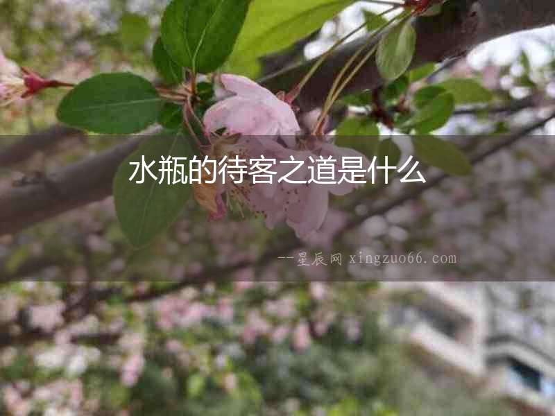水瓶的待客之道是什么