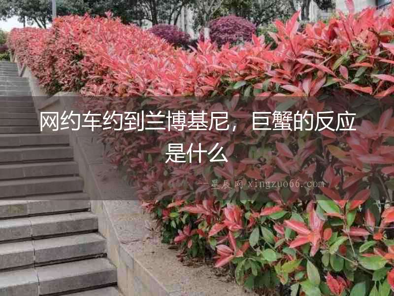 網約車約到蘭博基尼，巨蟹的反應是什么