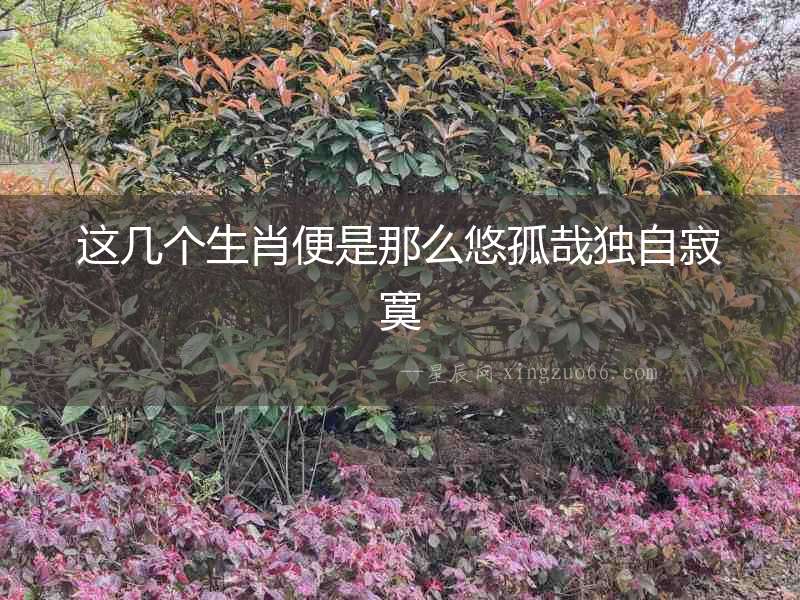 這幾個生肖便是那么悠孤哉獨自寂寞