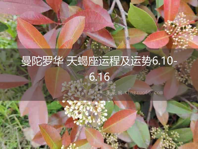 曼陀羅華 天蝎座運程及運勢6.10-6.16