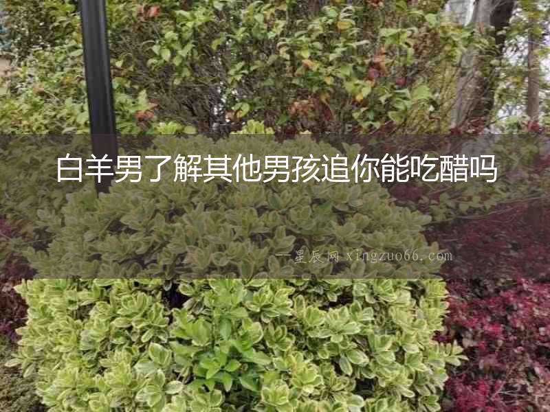白羊男了解其他男孩追你能吃醋嗎