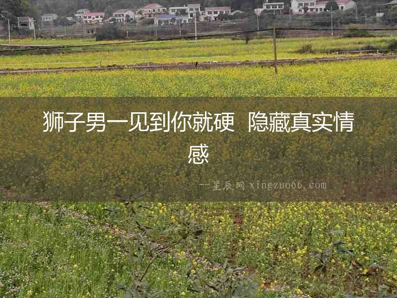 獅子男一見(jiàn)到你就硬  隱藏真實(shí)情感
