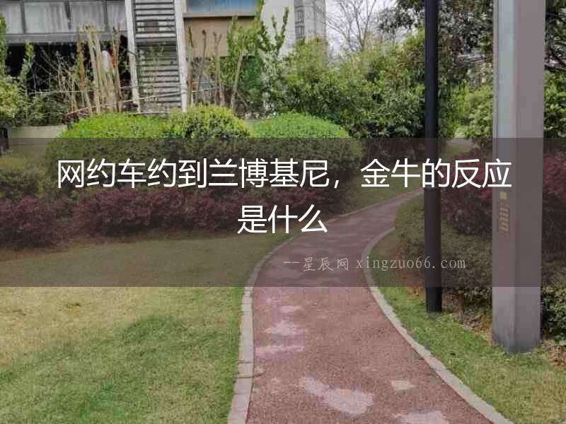 網約車約到蘭博基尼，金牛的反應是什么