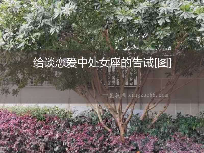 給談戀愛中處女座的告誡[圖]