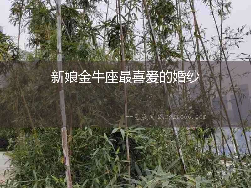 新娘金牛座最喜愛的婚紗
