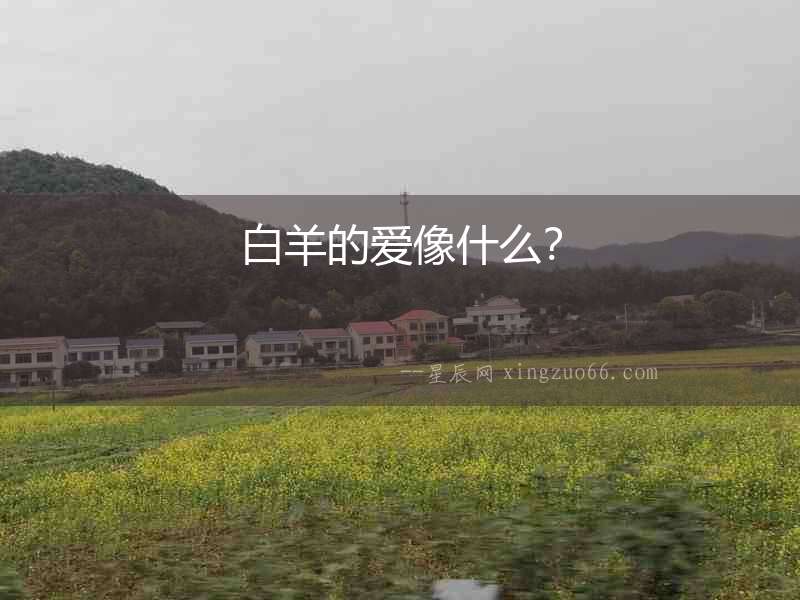 白羊的愛像什么？