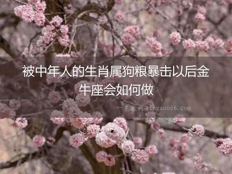 被中年人的生肖屬狗糧暴擊以后金牛座會如何做