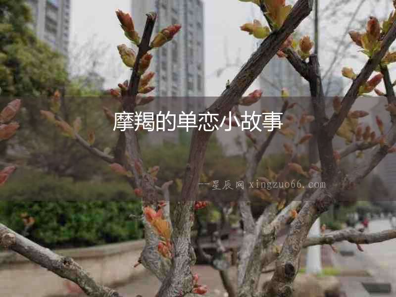 摩羯的單戀小故事