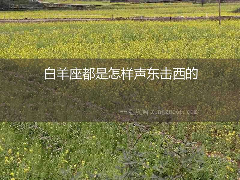 白羊座都是怎樣聲東擊西的