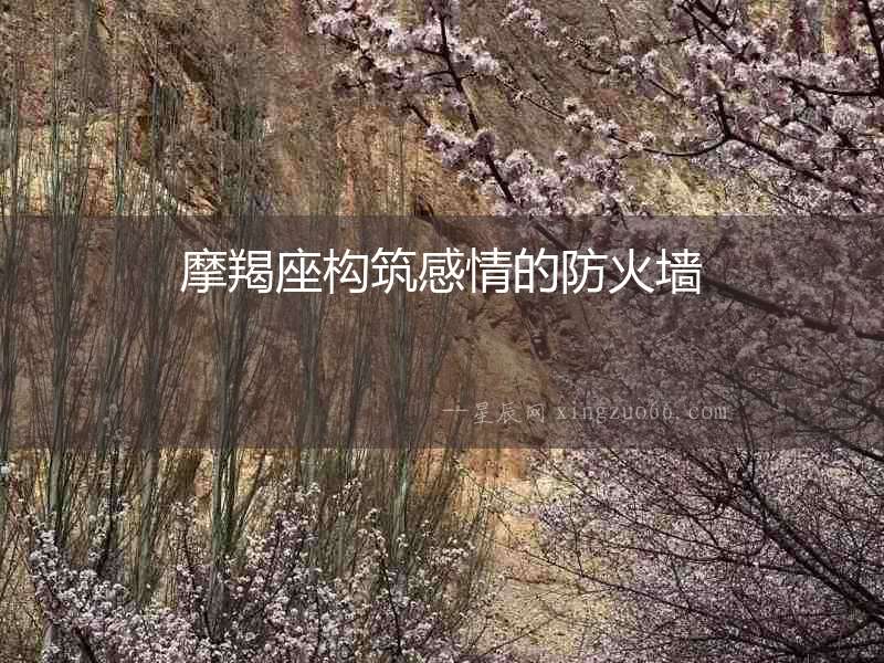 摩羯座構筑感情的防火墻