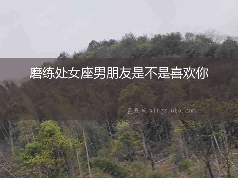 磨練處女座男朋友是不是喜歡你