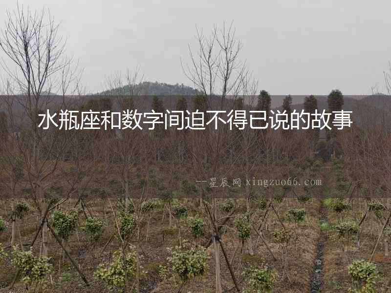 水瓶座和數(shù)字間迫不得已說的故事
