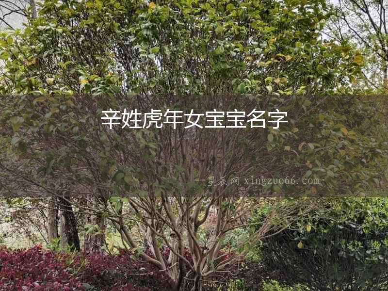 辛姓虎年女寶寶名字