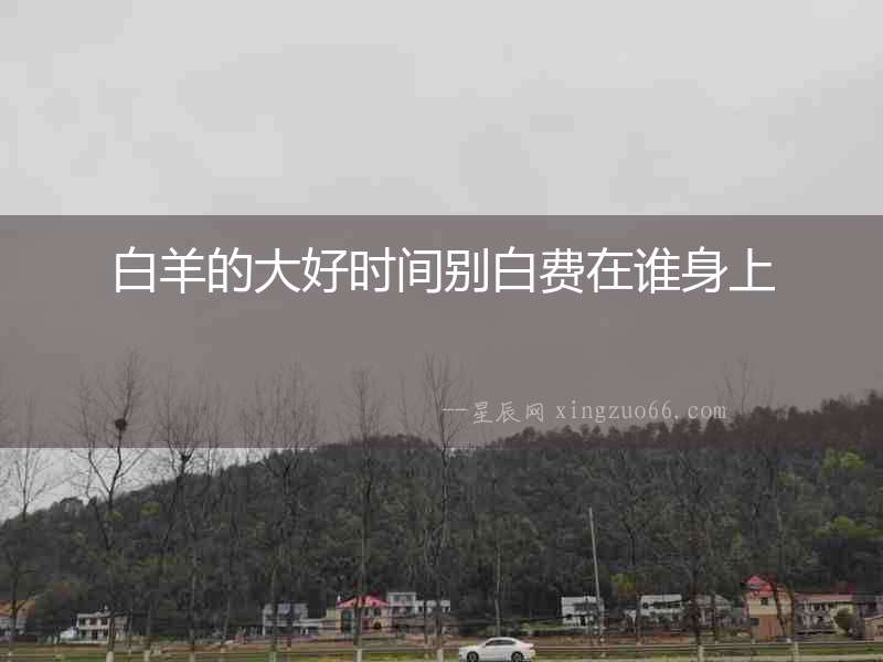 白羊的大好時間別白費在誰身上