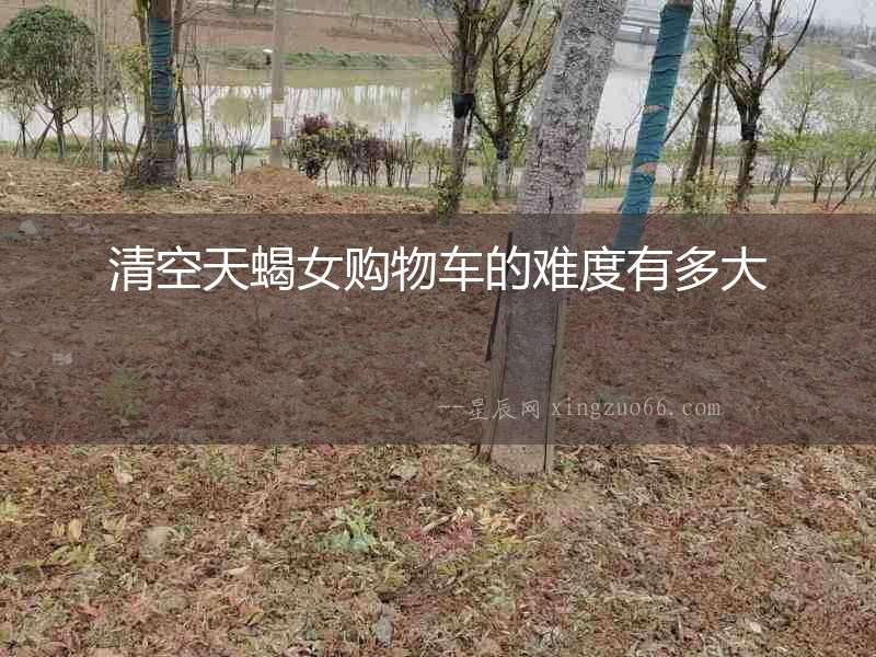 清空天蝎女購物車的難度有多大