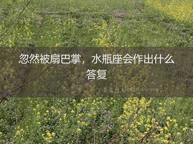 忽然被扇巴掌，水瓶座會作出什么答復