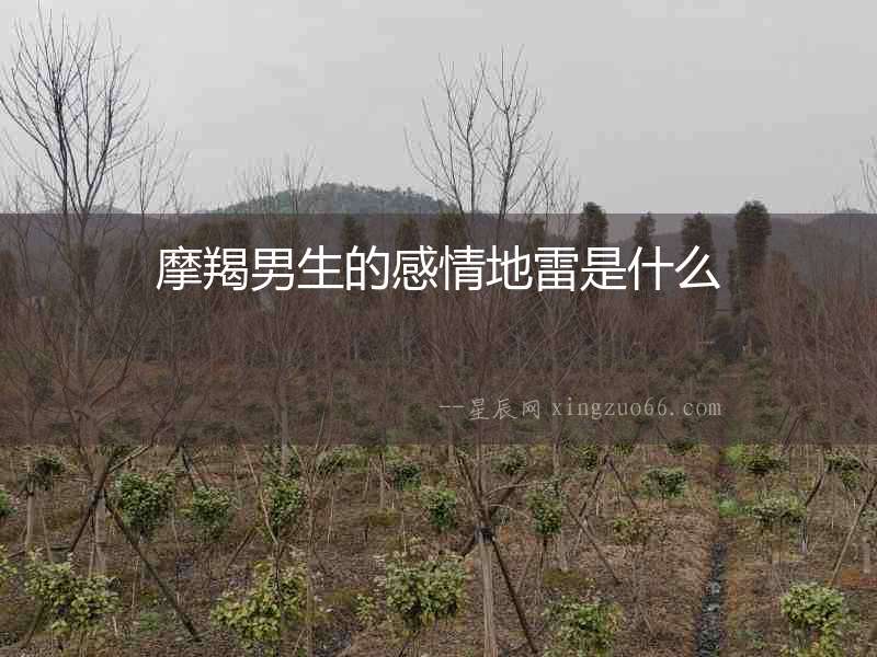 摩羯男生的感情地雷是什么