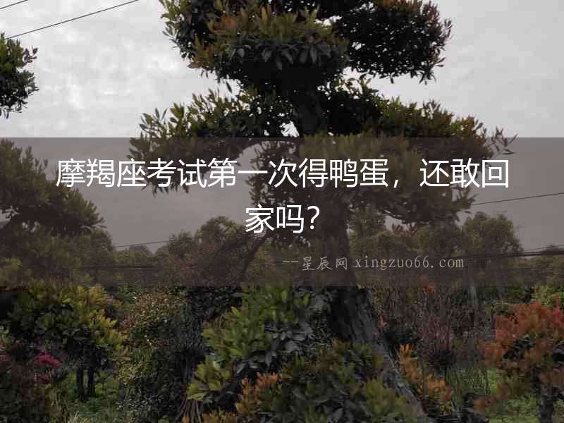 摩羯座考試第一次得鴨蛋，還敢回家嗎？
