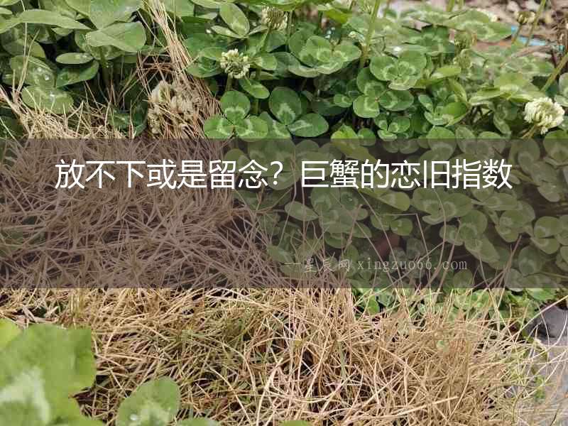 放不下或是留念？巨蟹的戀舊指數(shù)