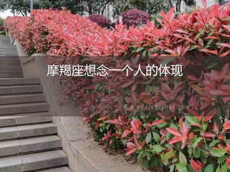 摩羯座想念一個人的體現