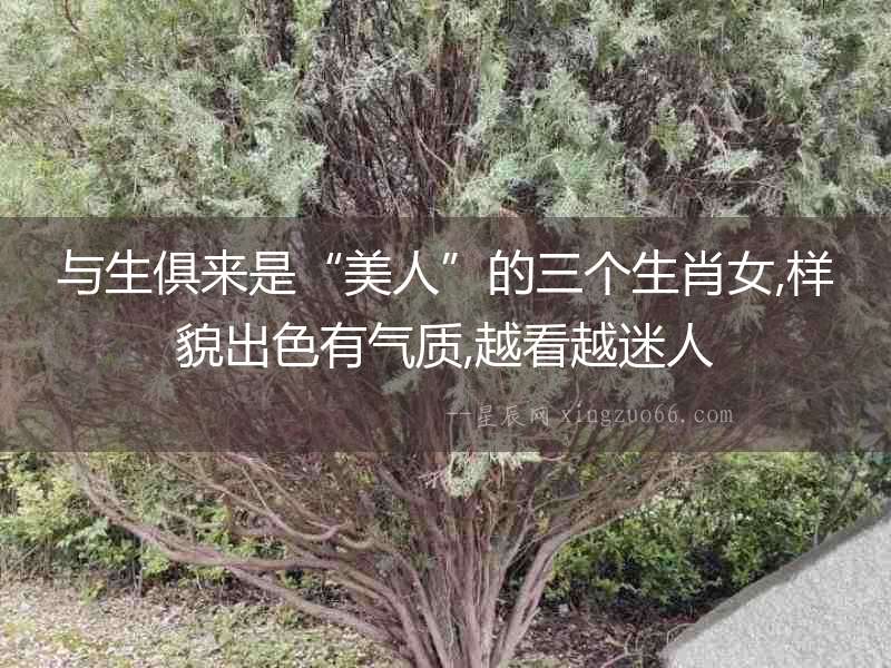 與生俱來是“美人”的三個生肖女,樣貌出色有氣質,越看越迷人