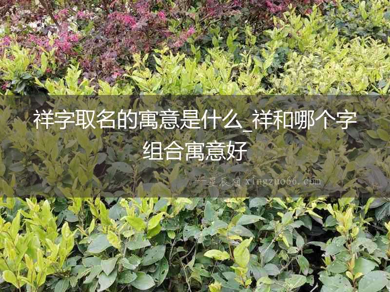祥字取名的寓意是什么_祥和哪個字組合寓意好