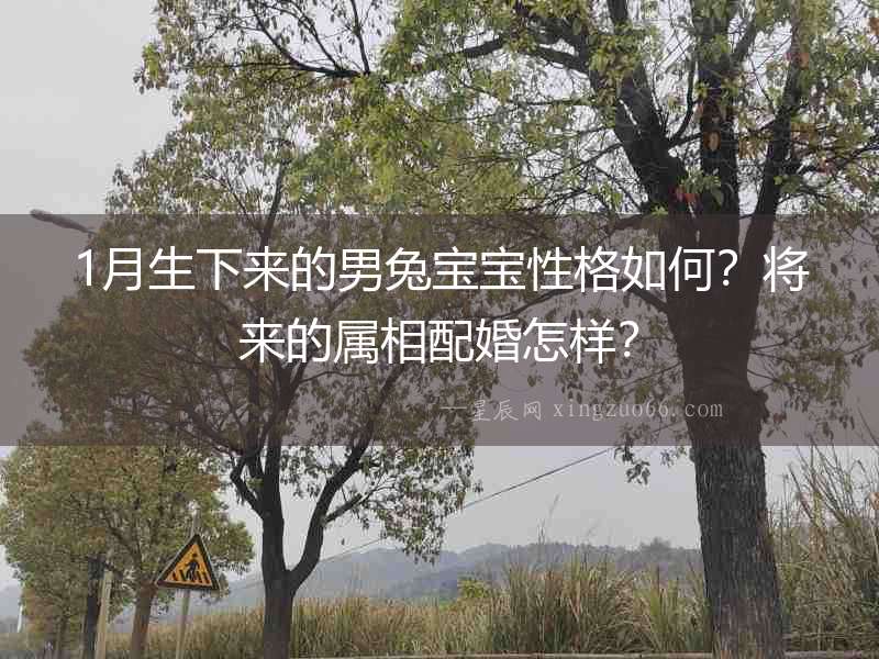 1月生下來的男兔寶寶性格如何？將來的屬相配婚怎樣？