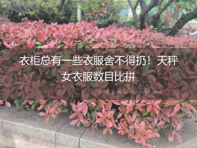 衣柜總有一些衣服舍不得扔！天秤女衣服數(shù)目比拼