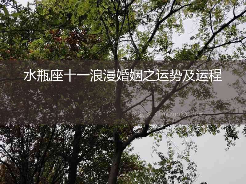 水瓶座十一浪漫婚姻之運勢及運程
