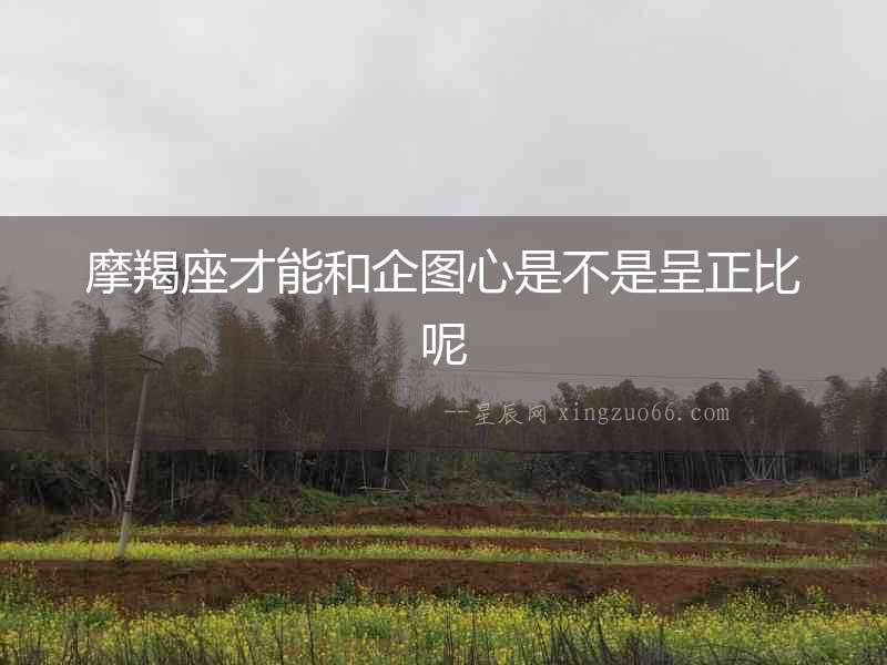 摩羯座才能和企圖心是不是呈正比呢