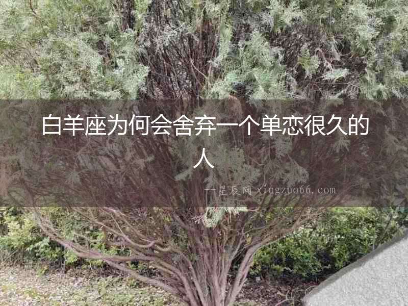 白羊座為何會舍棄一個單戀很久的人