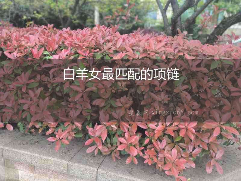 白羊女最匹配的項鏈
