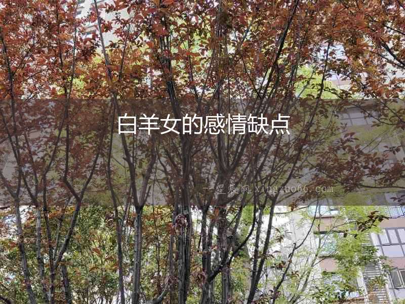 白羊女的感情缺點