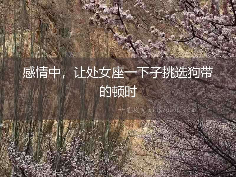 感情中，讓處女座一下子挑選狗帶的頓時