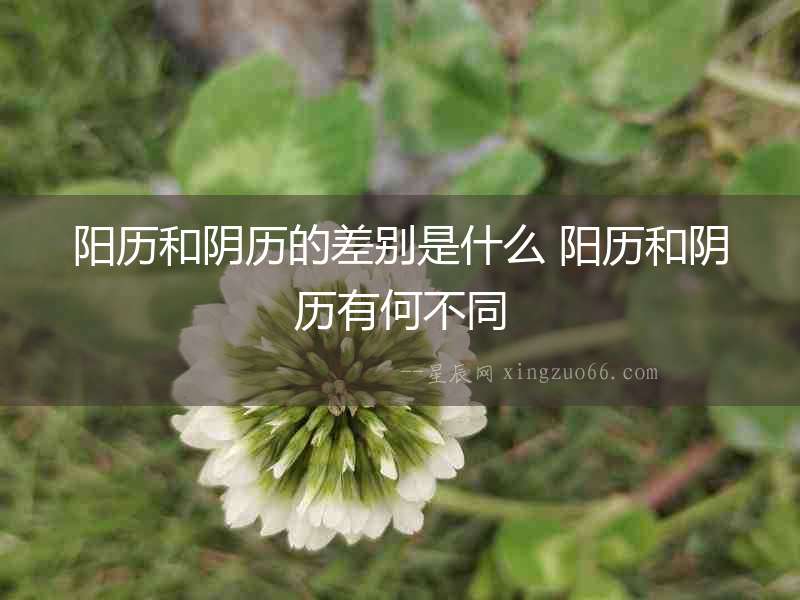 陽歷和陰歷的差別是什么 陽歷和陰歷有何不同