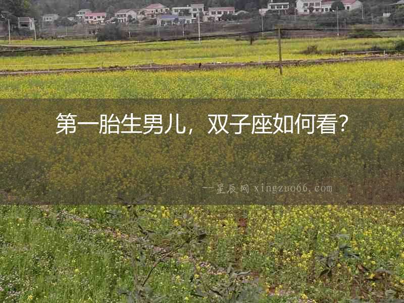 第一胎生男兒，雙子座如何看？