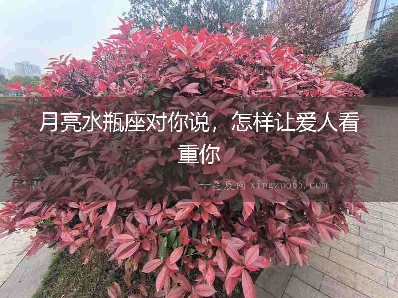 月亮水瓶座對你說，怎樣讓愛人看重你