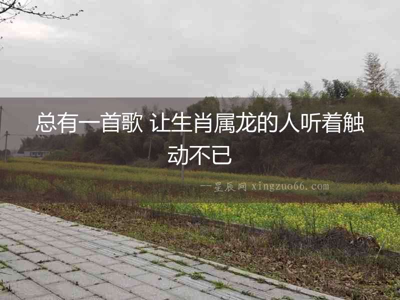 總有一首歌 讓生肖屬龍的人聽著觸動不已
