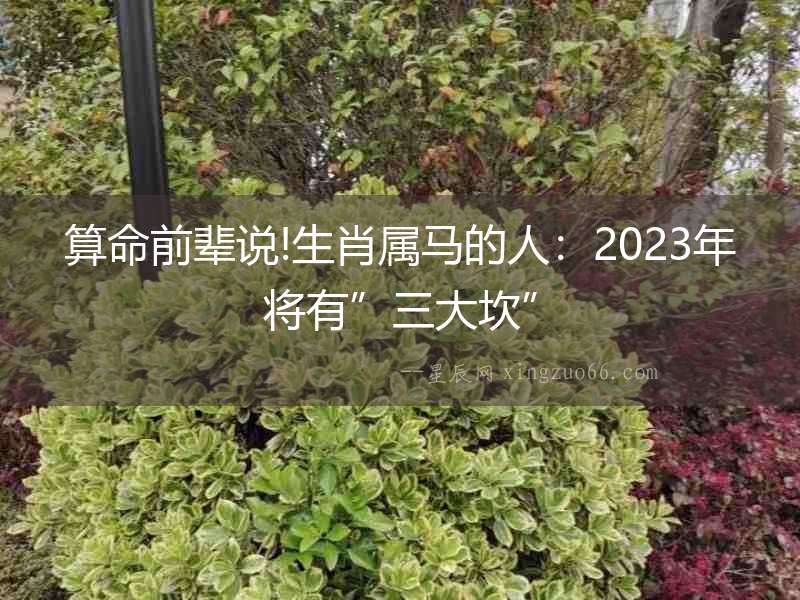 算命前輩說!生肖屬馬的人：2023年將有”三大坎”