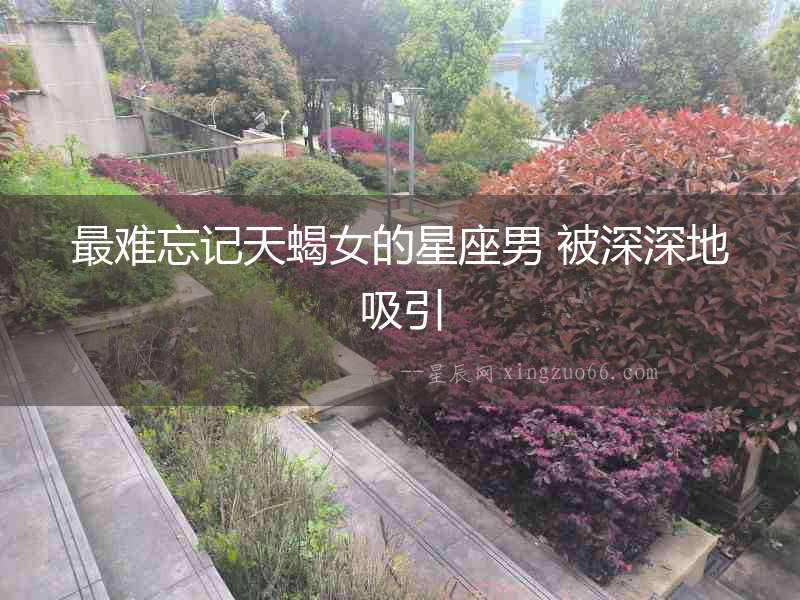 最難忘記天蝎女的星座男 被深深地吸引