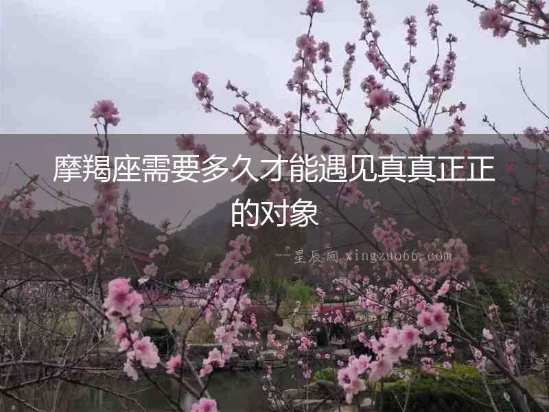 摩羯座需要多久才能遇見真真正正的對象