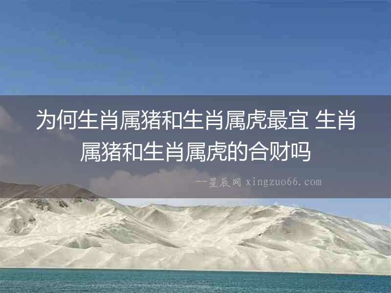 為何生肖屬豬和生肖屬虎最宜 生肖屬豬和生肖屬虎的合財嗎