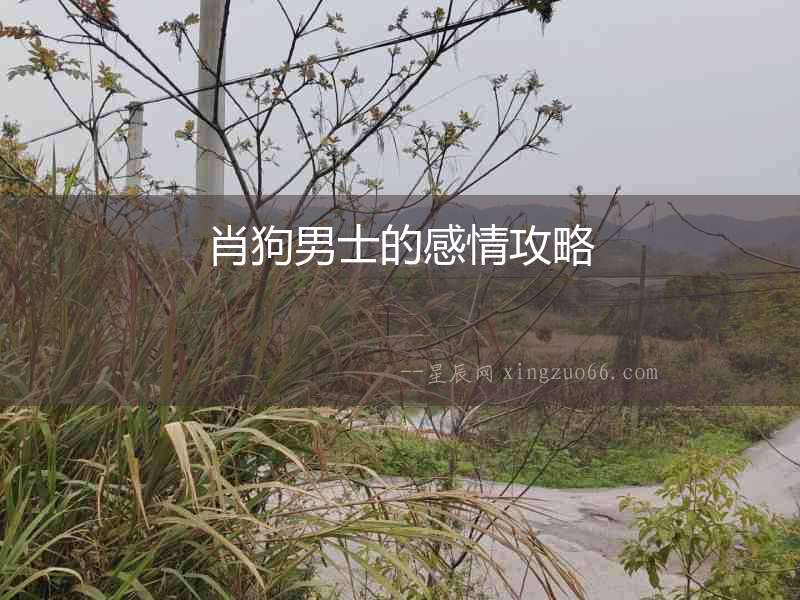 肖狗男士的感情攻略